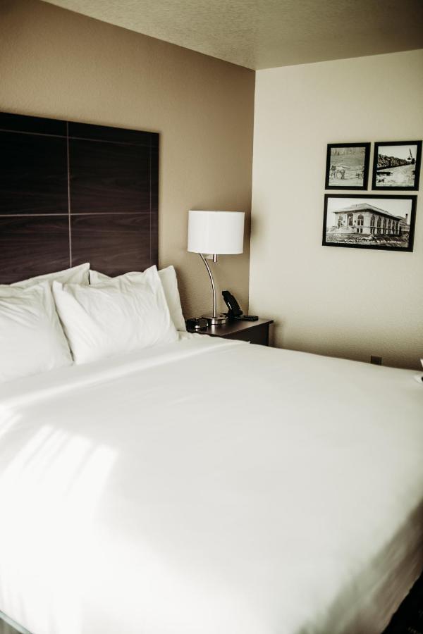 Cobblestone Hotel & Suites International Falls Zewnętrze zdjęcie